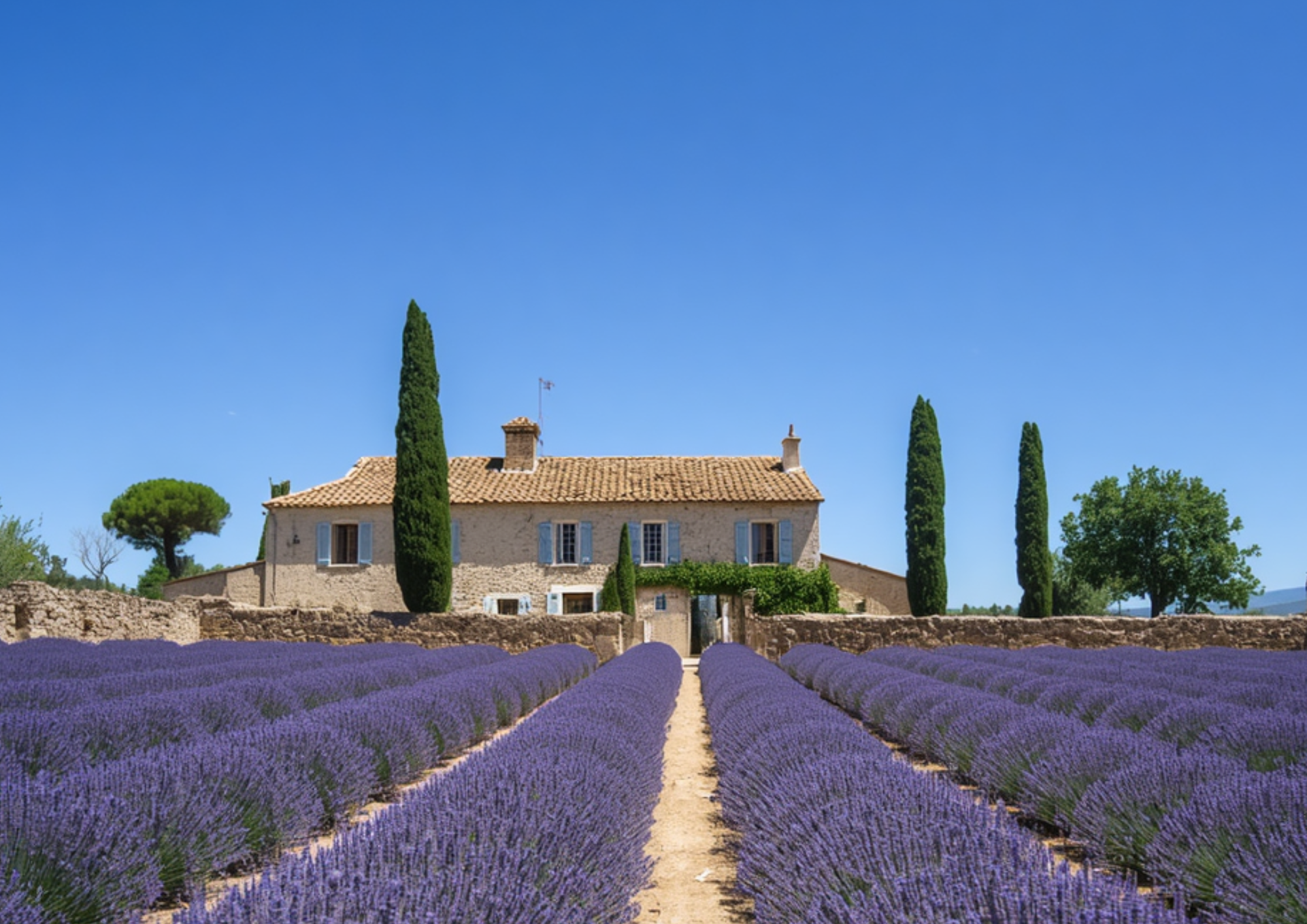 Intendance & Veille Patrimoniale